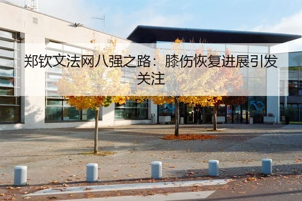 郑钦文法网八强之路：膝伤恢复进展引发关注