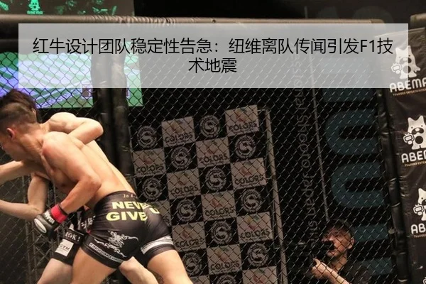 红牛设计团队稳定性告急：纽维离队传闻引发F1技术地震