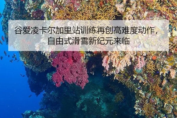 谷爱凌卡尔加里站训练再创高难度动作，自由式滑雪新纪元来临